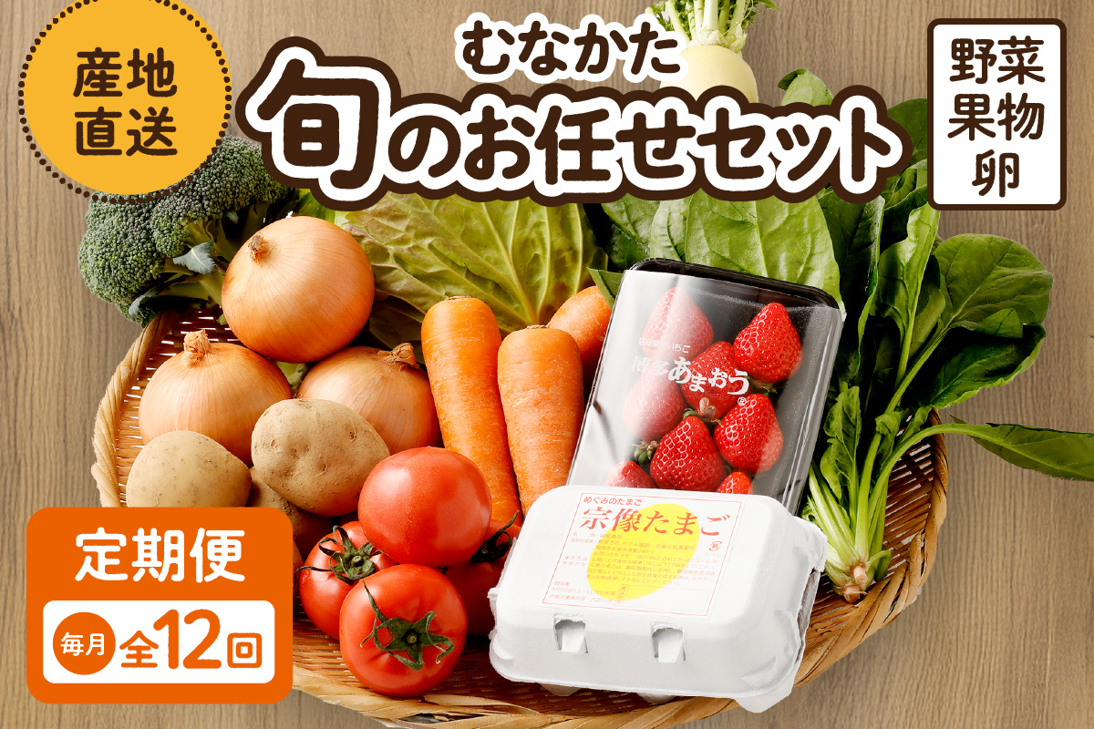HB0194_【毎月お届け】むなかた旬のお任せセット（野菜・フルーツ・卵） 9～11品【JAほたるの里】