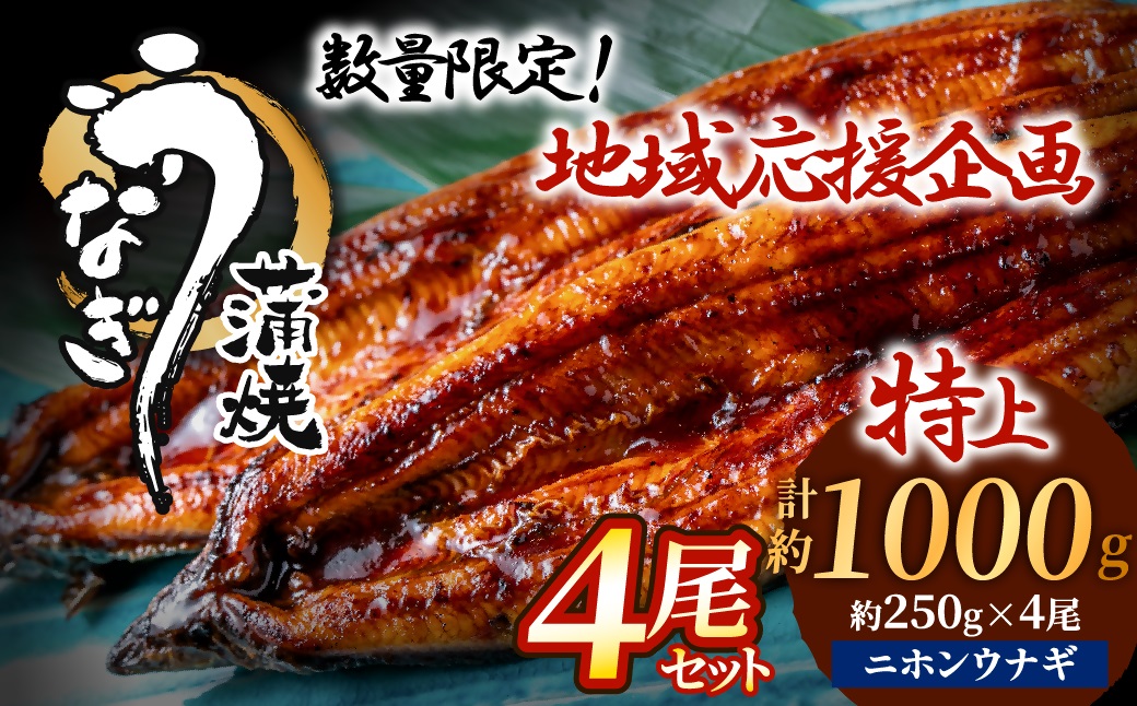 HA1494_数量限定！地域応援企画！うなぎ蒲焼き4尾セット(約250g×4尾セット)【魚住商店】