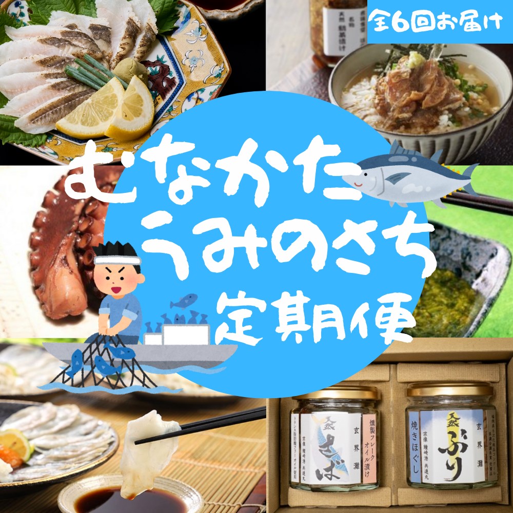 HB0200_【年6回／偶数月お届け】海のまちから「絶品」海産物をお届け!むなかた海の幸定期便