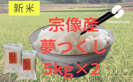 HA1808_宗像産 夢つくし 10kg（5kg×2）【ちかえフーズ】