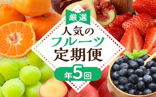 HB0164_【定期便/年5回】JAむなかた厳選！人気フルーツ定期便【JAむなかた ほたるの里】