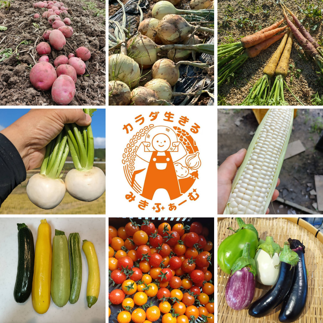 HA1860_農家の不揃いお野菜セット【カラダ生きるみきふぁーむ】