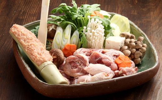 HA1776_博多若杉もつ鍋＋水炊き（各4～5人前）【株式会社Skyward】