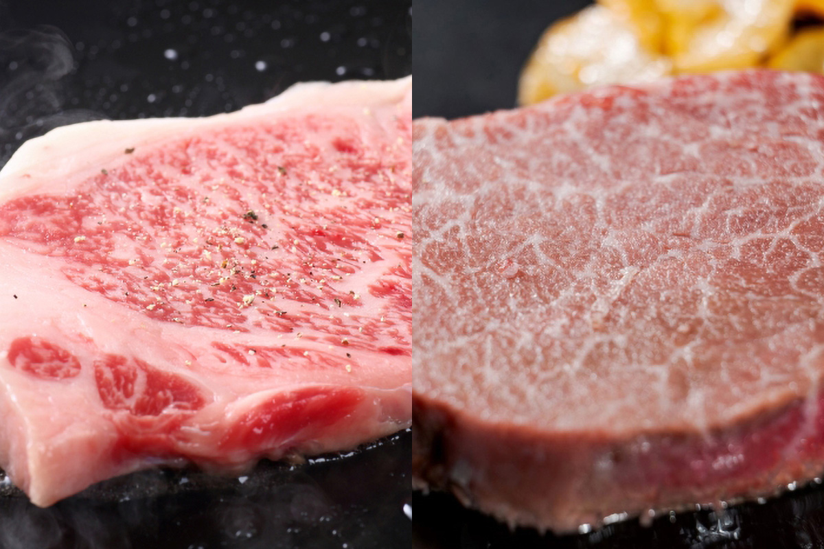 HA1745_黒毛和牛（博多和牛）【A4～A5ランク】ヒレ 150g×2枚＆サーロイン 250g×2枚(計800g)【株式会社木村食品】