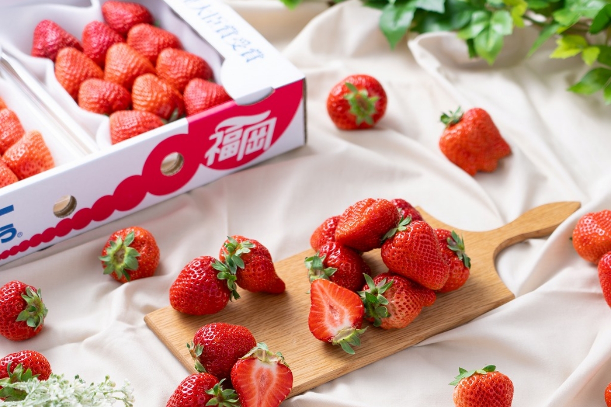 HA1906_【2026年2月より順次発送】福岡産【春】あまおう4パック【南国フルーツ株式会社】