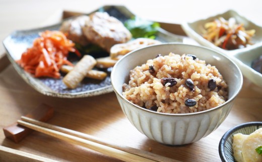 HA1772_発芽酵素玄米 15食セット【MINORI CAFÉ 発酵食カフェ】