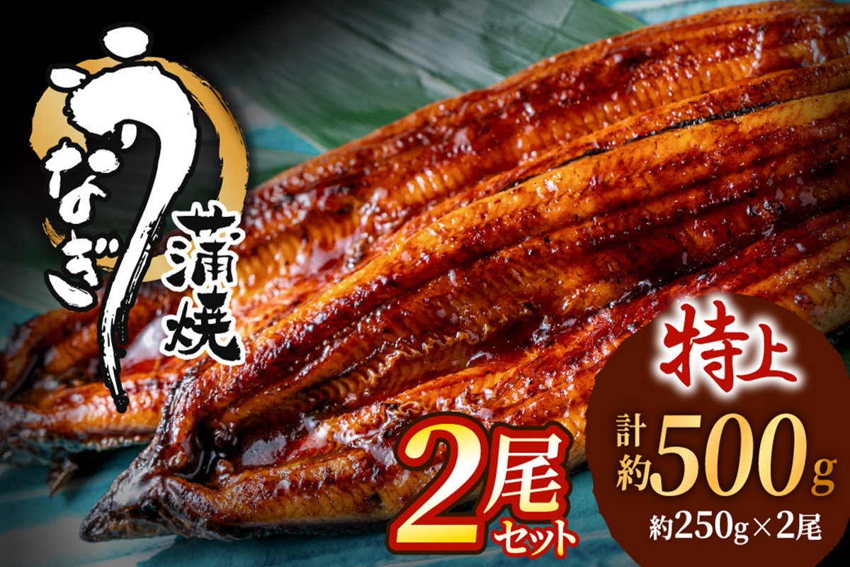 HA1964_うなぎ蒲焼き2尾セット(約250g×2尾セット)【魚住商店】