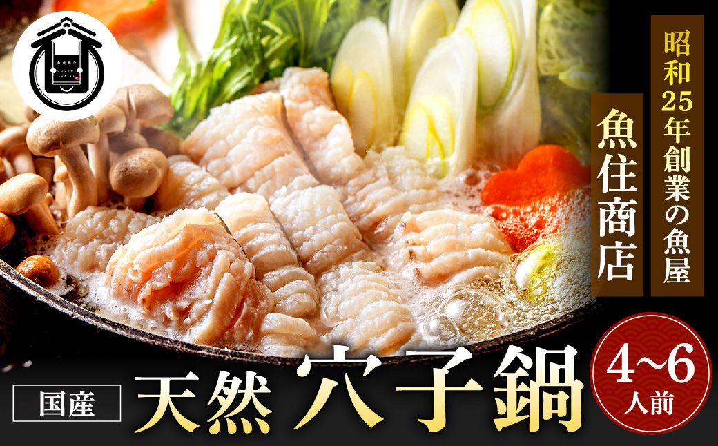 HA1994_【鐘崎産天然穴子】国産天然穴子鍋セット(4〜6人前) 【魚住商店】