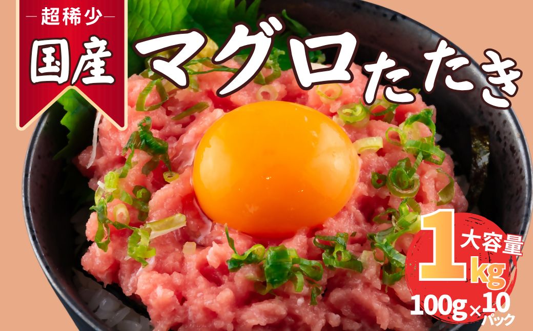 HA1975_まぐろたたき ネギトロ(100g×10P)【魚住商店】