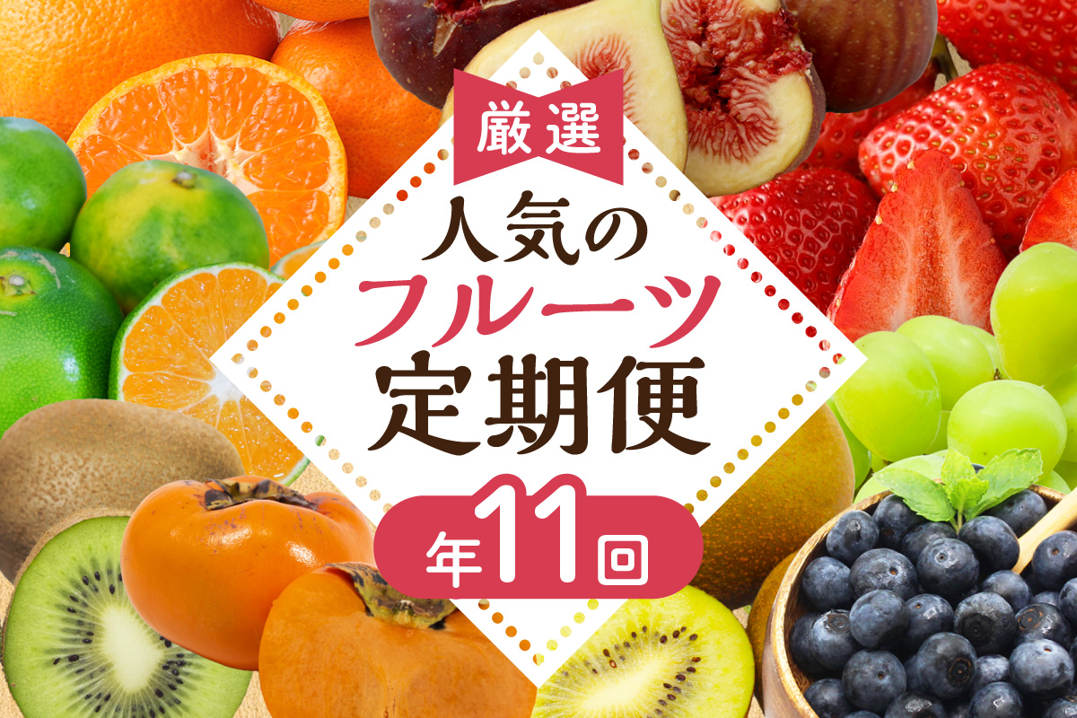HB0171_【定期便/年11回】JAむなかた厳選！旬のフルーツ定期便【JAほたるの里】