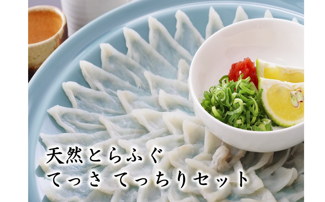 HA2008_天然とらふぐ てっさ てっちりセット【マルケイ水産】