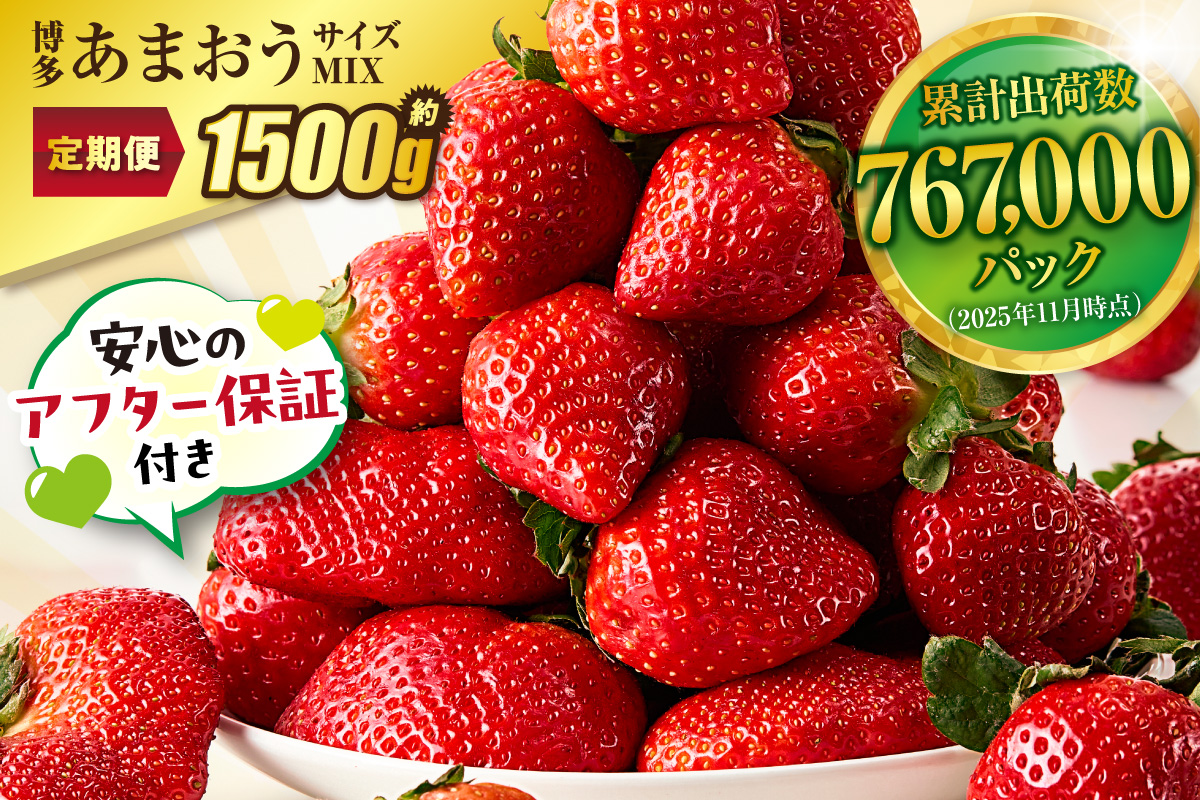 HB0075_【定期便／3ヶ月連続お届け】アフター保証 博多あまおう 約250g×2パック 計3回 総量1.5kg 3カ月定期便【JAほたるの里】