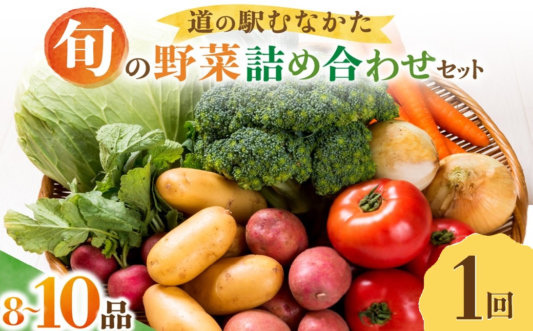 HA2050_旬のお野菜詰合せセット【道の駅むなかた】
