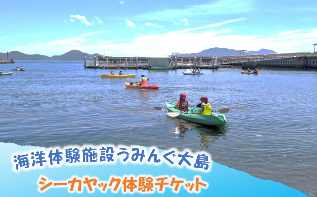 HA2024_海洋体験施設うみんぐ大島 シーカヤック体験1名様分【(株)むなかた大島】