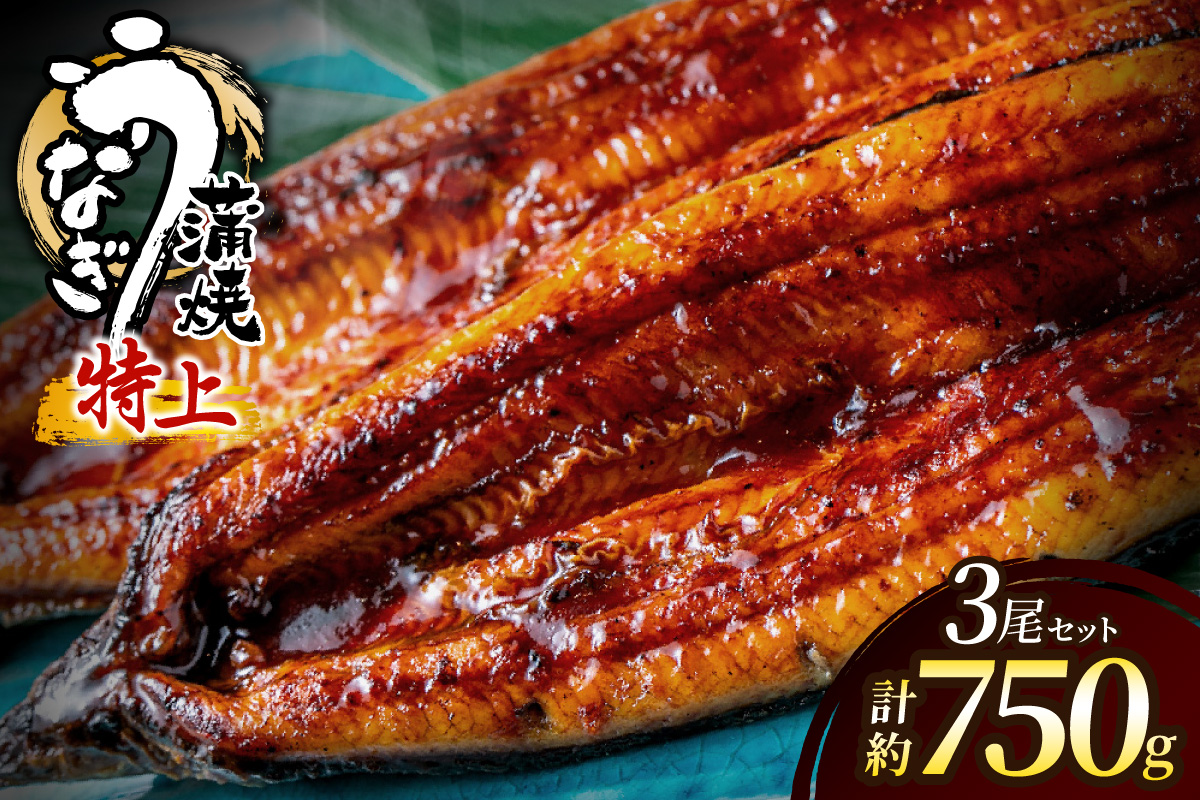 HA2102_うなぎ蒲焼き3尾 計750g以上(250g以上×3尾)【魚住商店】