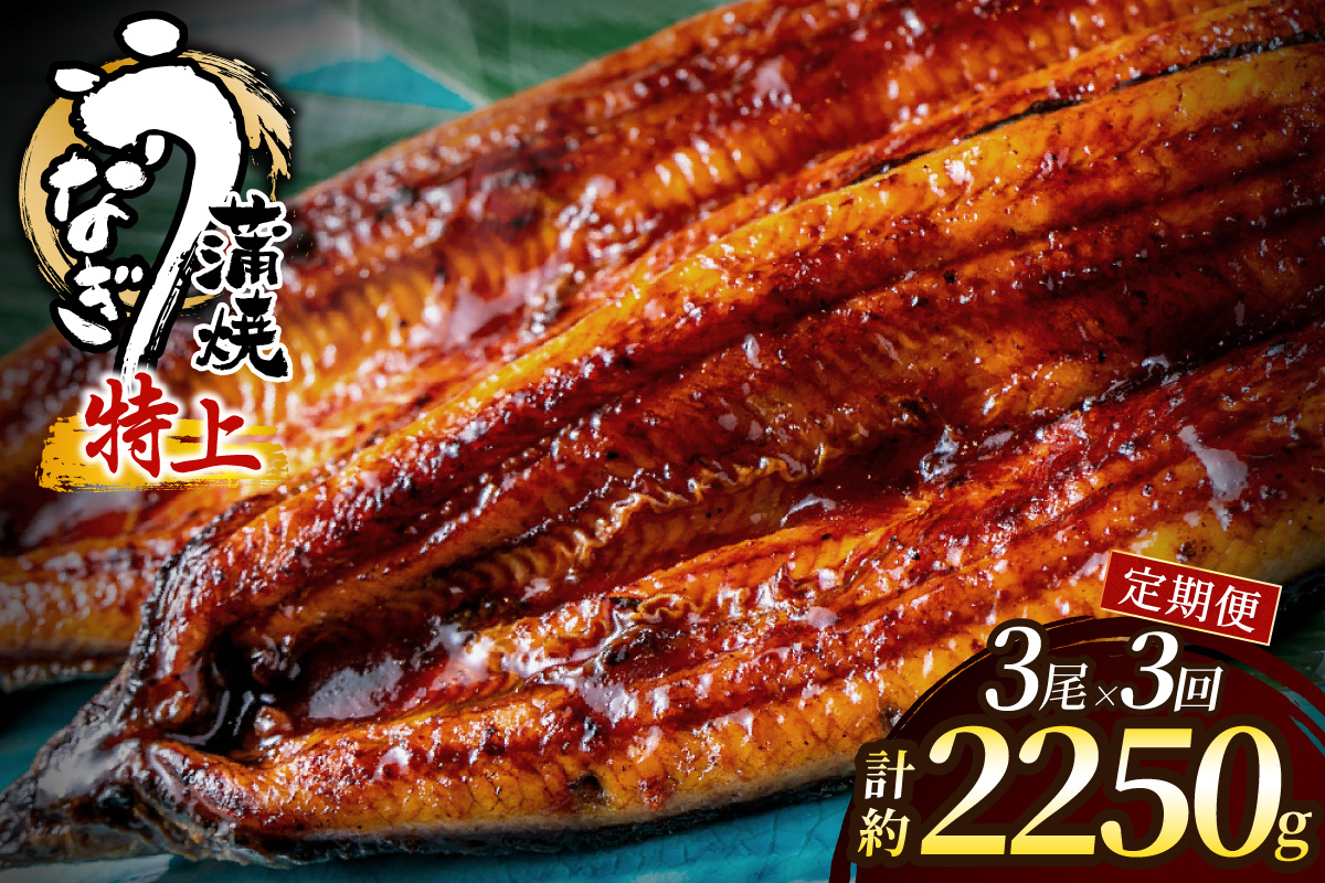 HB0224_【3回定期便】うなぎ蒲焼き750g以上(250g以上×3尾)【魚住商店】
