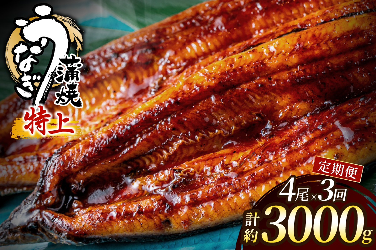 HB0225_【3回定期便】うなぎ蒲焼き1.0kg以上(250g以上×4尾)【魚住商店】