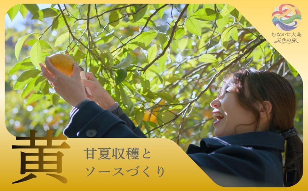 HA2085_むなかた大島五色の旅「黄」甘夏収穫と甘夏ソース作り（1名様）～テーマは【実り】～【DMOむなかた】
