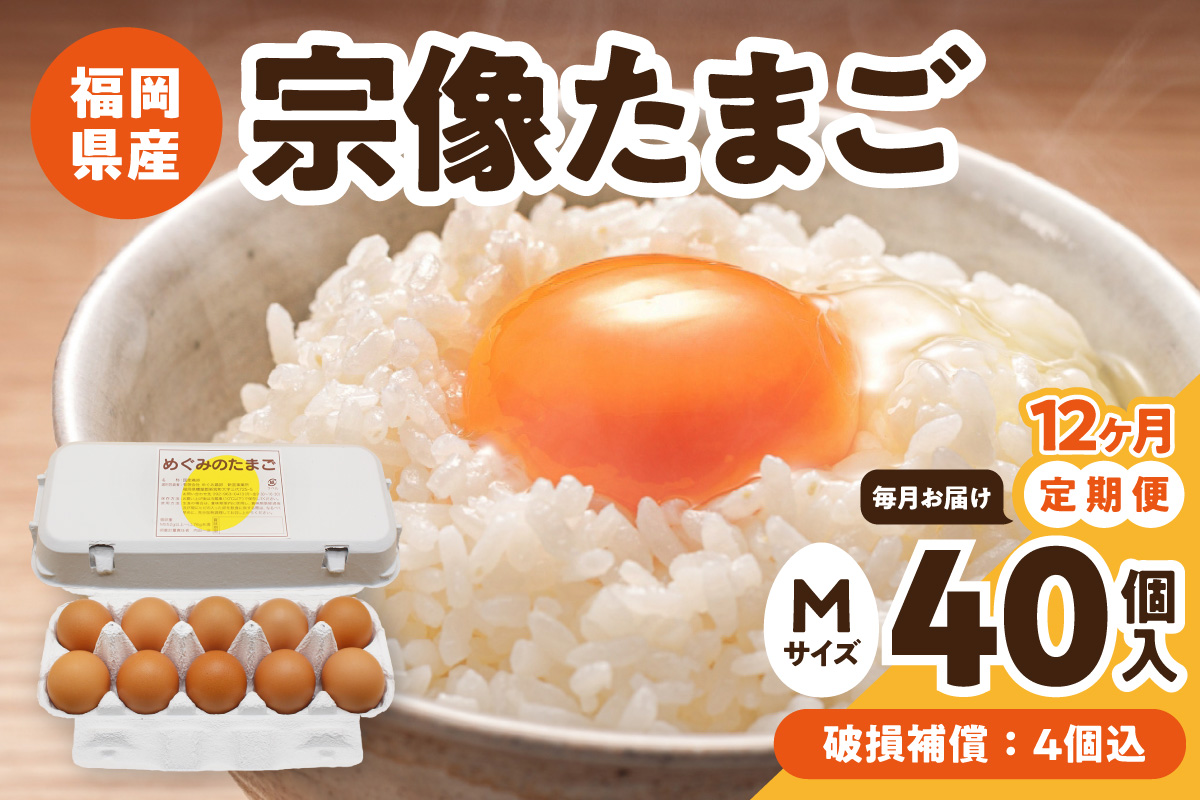 HB0216_【毎月お届け】新鮮 赤卵「宗像たまご」Mサイズ 40個×12ヶ月定期便 (36個＋補償4個)【JAほたるの里】