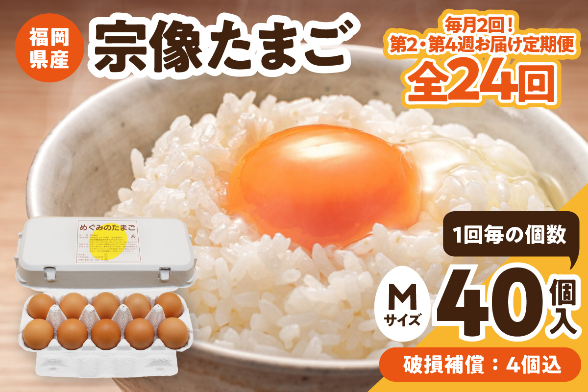 HB0218_【毎月2回！第2・第4週お届け定期便】新鮮 赤卵「宗像たまご」Mサイズ 40個×12ヶ月定期便 (36個＋補償4個)【JAほたるの里】