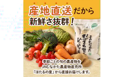 HA0263_【9~11品】むなかた旬のお任せセット(野菜・フルーツ・お米)【JAほたるの里】