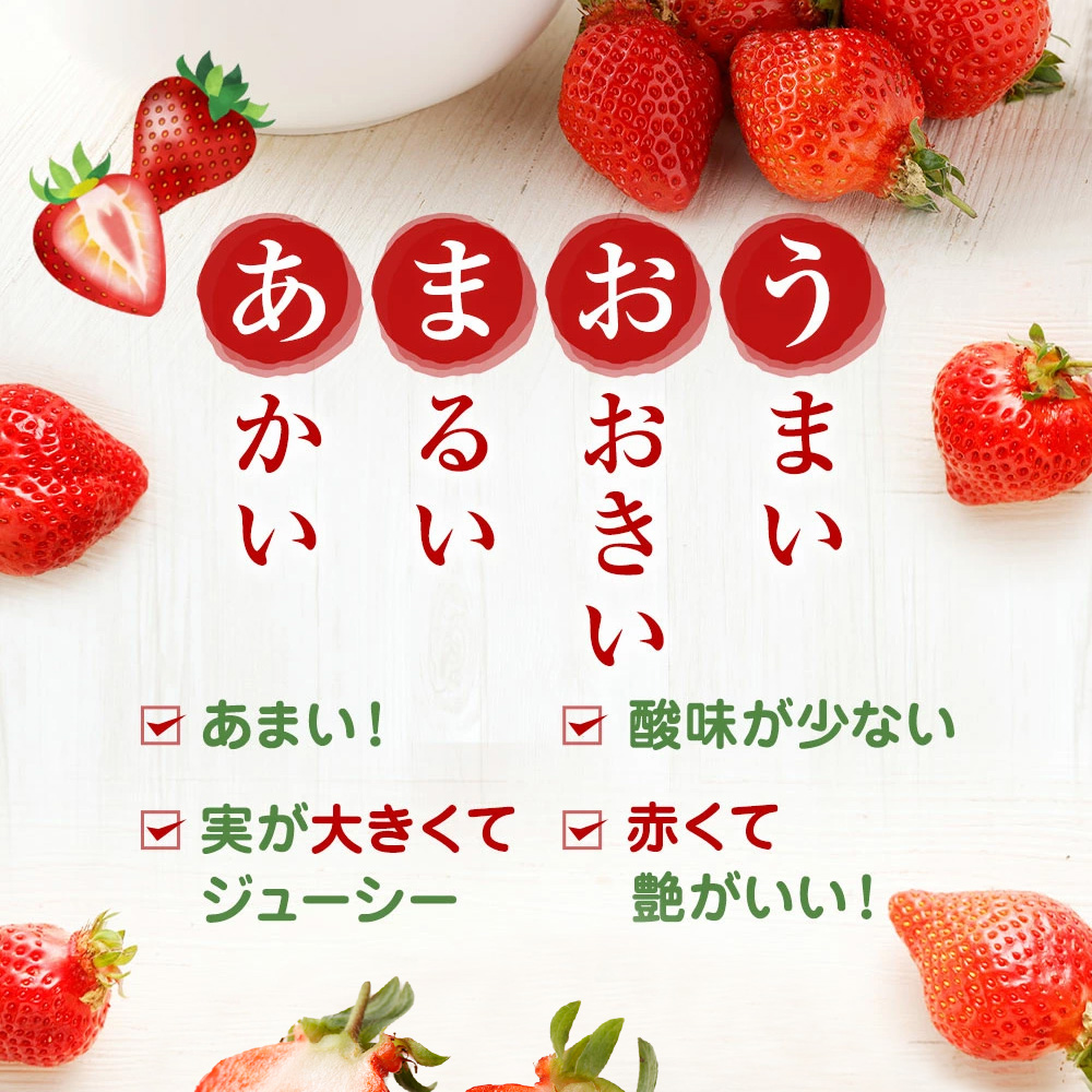 【アフター保証】大粒セレクト！大人気のあまおう 約280g×2パック【2026年1月～2月上旬お届け】【ほたるの里】_HA0276