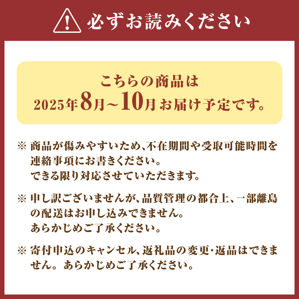 HA0278_プレミアムいちじく とよみつひめ 1.2kg【JAほたるの里】