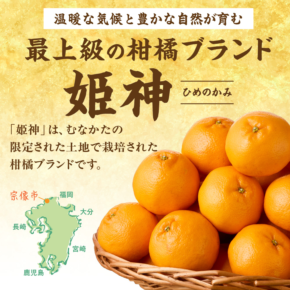 旬のミカンをお届け!JAむなかた柑橘ブランド「姫神」5kg 甘くておいしいみかん【2026年1月~4月上旬発送】【ほたるの里】_HA0280