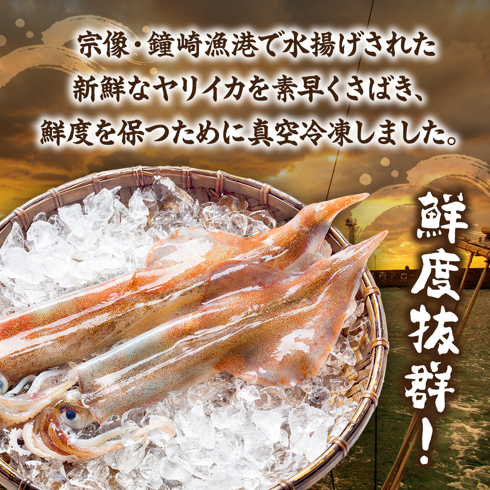 HA0416_刺身用　新鮮ヤリイカ2杯セット(宗像鐘崎産)【マルケイ水産】
