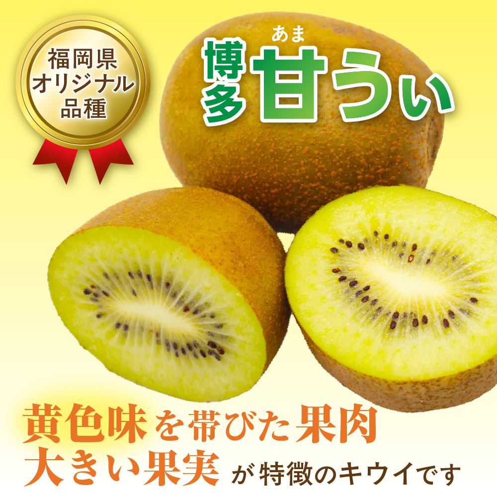 HA0434_【2025年収穫分】福岡県ブランド!キウイフルーツ「博多甘うぃ」1箱約3.6kg【ほたるの里】