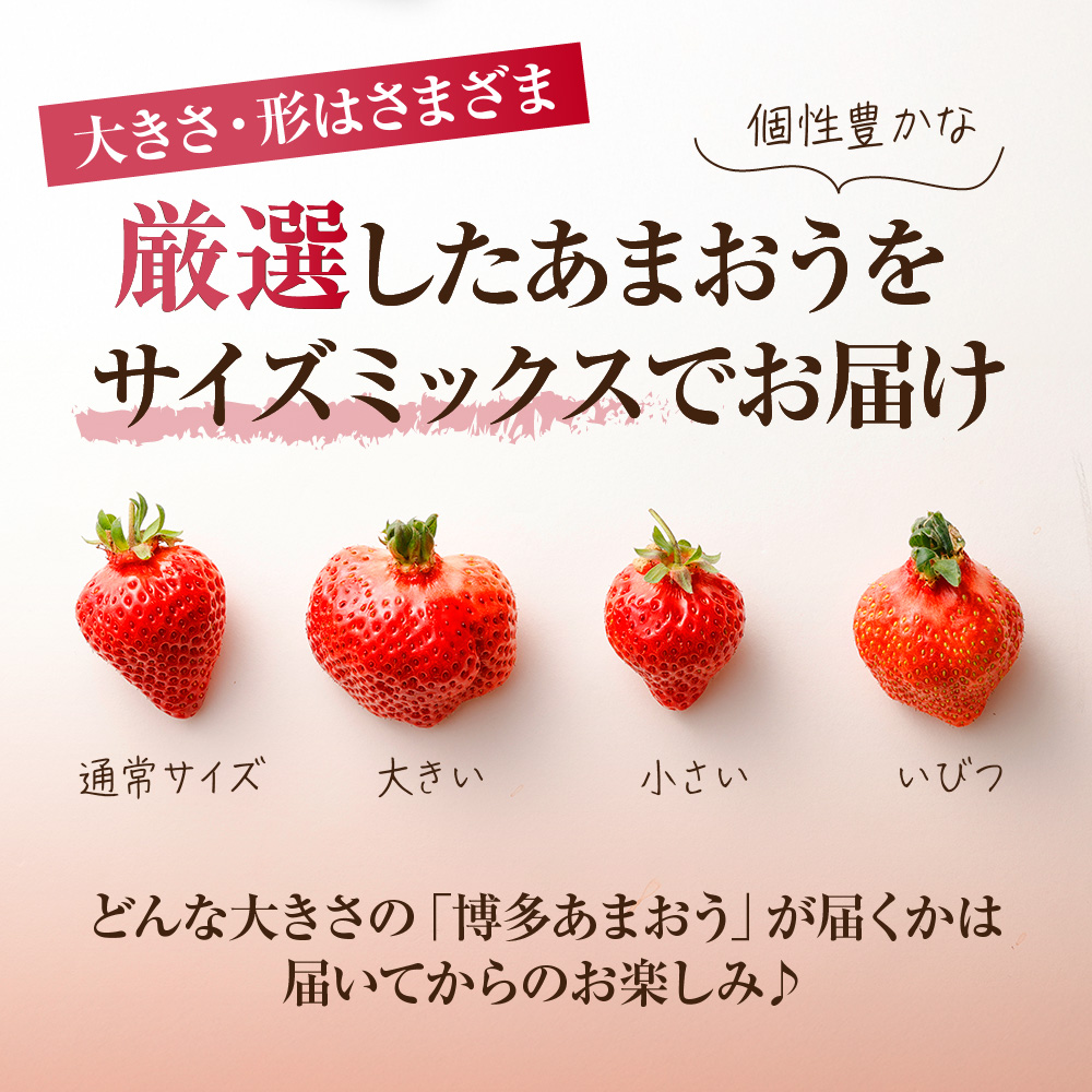 【数量限定】1月3日~5日発送「博多あまおう」約280g×4パック 計1.12kg【ほたるの里】_HA0662