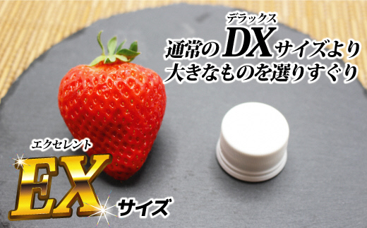 HA0755_12月発送!「博多あまおう」EX 贈答用化粧箱 約450g 2箱【ほたるの里】