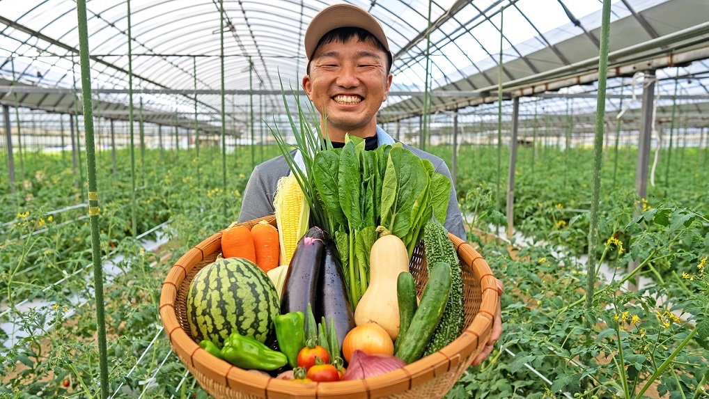 HA0778_【一週間以内に発送】宗像とれたて 野菜・たまごセット【オアシス】