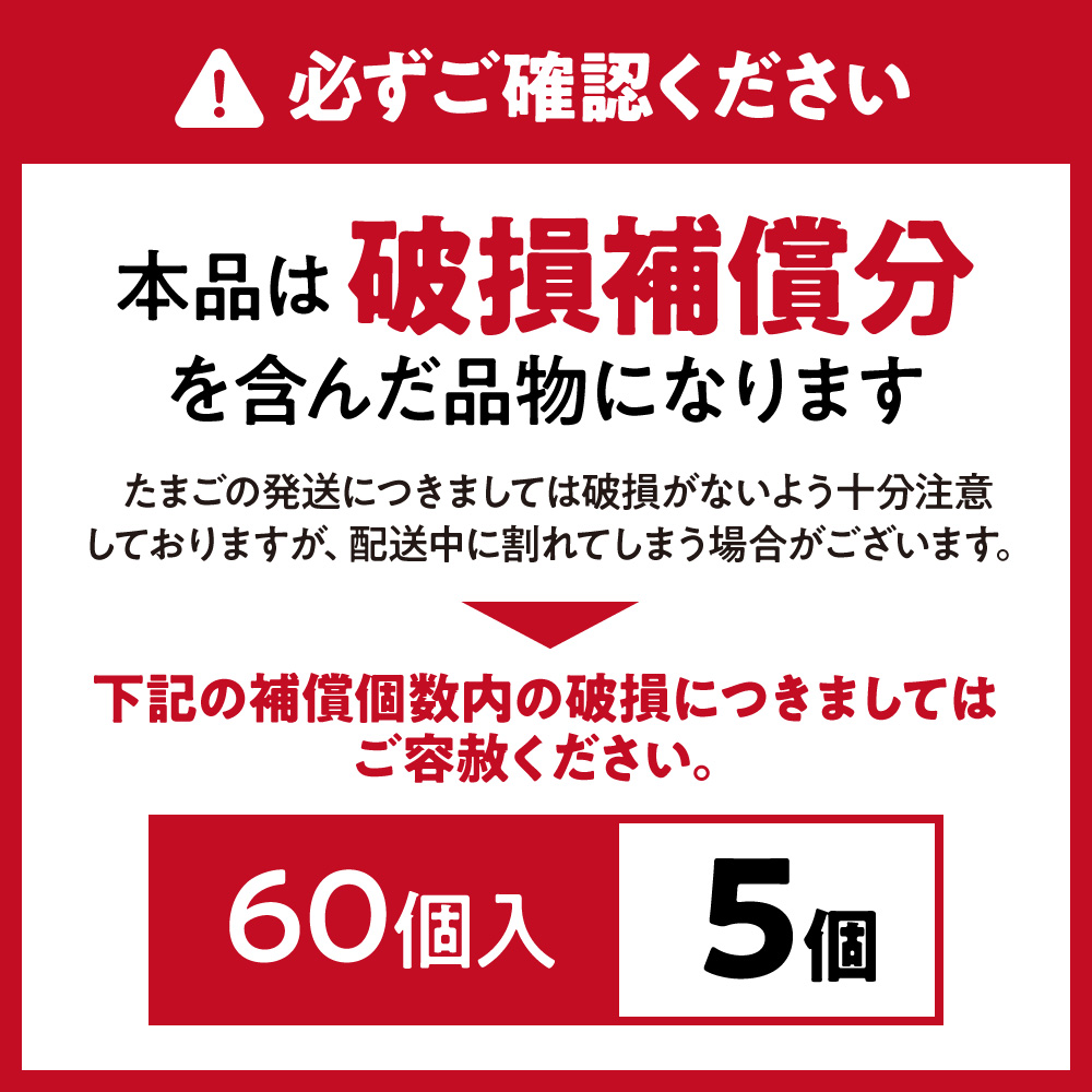 HA0916_JAむなかたよりお届け！宗像たまご60個（55個＋補償5個）【JAほたるの里】