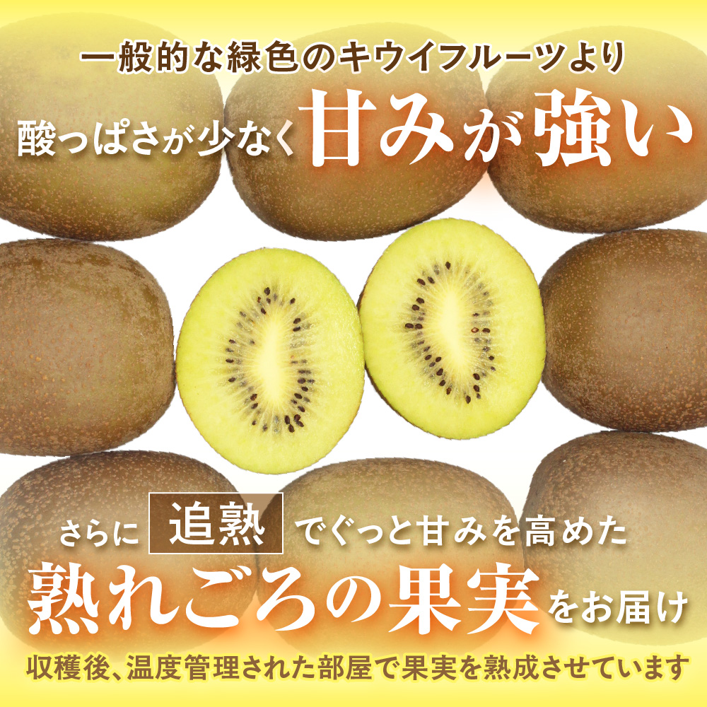 HA0943_【ギフト】福岡県ブランド!キウイフルーツ「博多甘うぃ」約1.4kg化粧箱入り【ほたるの里】