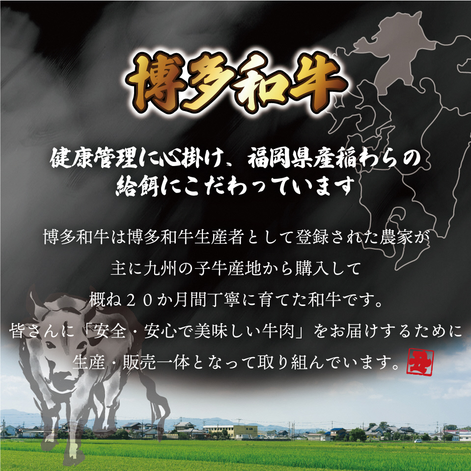 HA0953_JAむなかたよりお届け！博多和牛焼肉用800g【JAほたるの里】