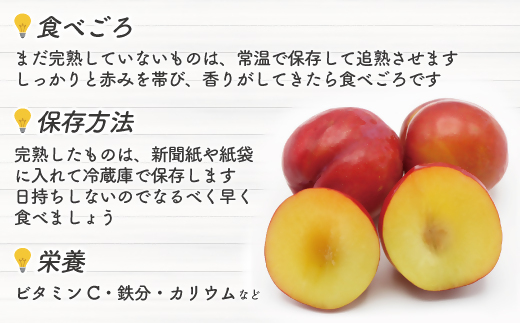 【JAむなかた すもも部会より】すもも(大石早生)1kg(250g×4パック)【JAほたるの里】_HA1254