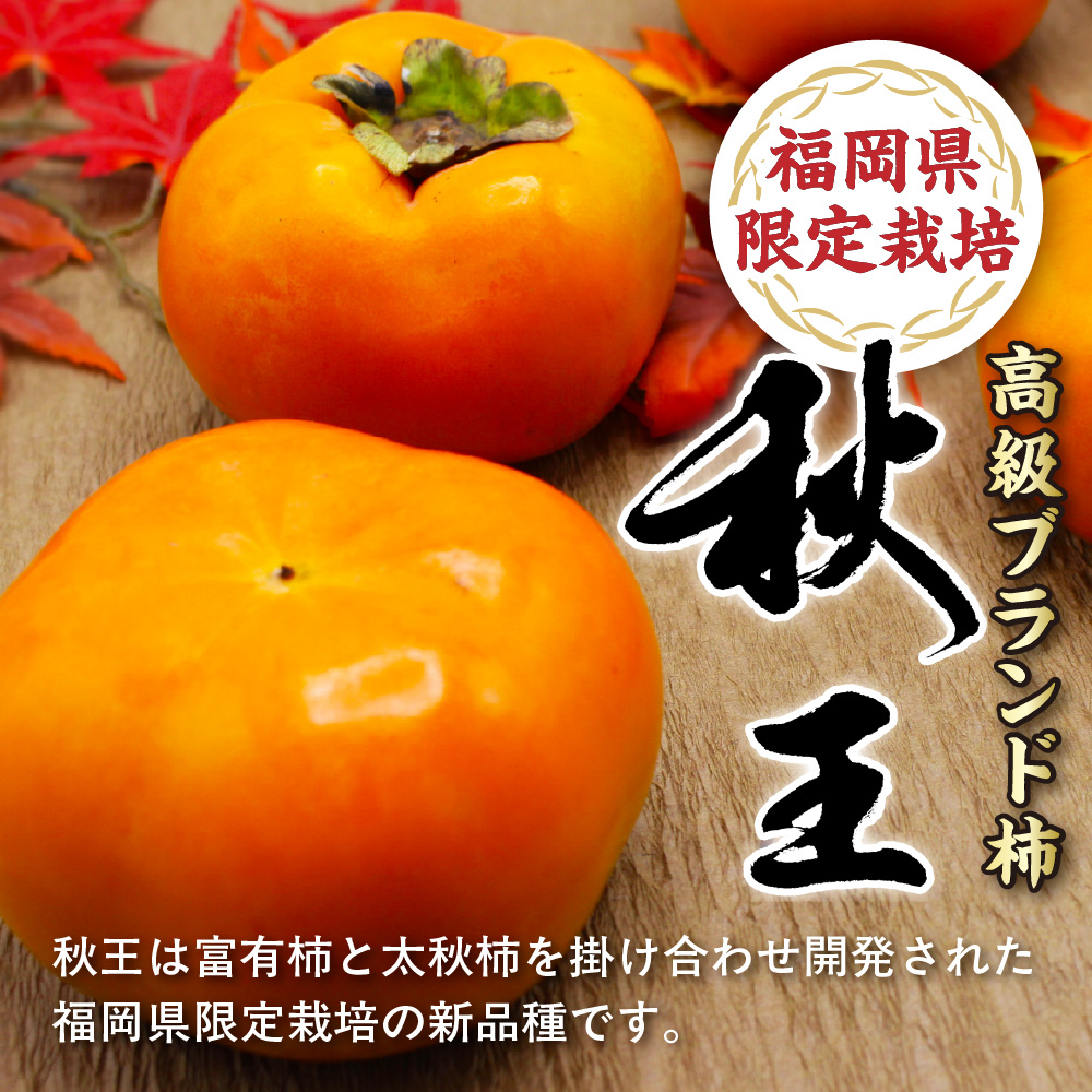 HA1352_福岡県ブランド 高級柿【秋王】3.5kg【JAほたるの里】