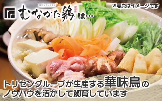 HA1417_宗像産ブランド鶏【むなかた鶏】モモ肉2kg(平飼い)【JAほたるの里】