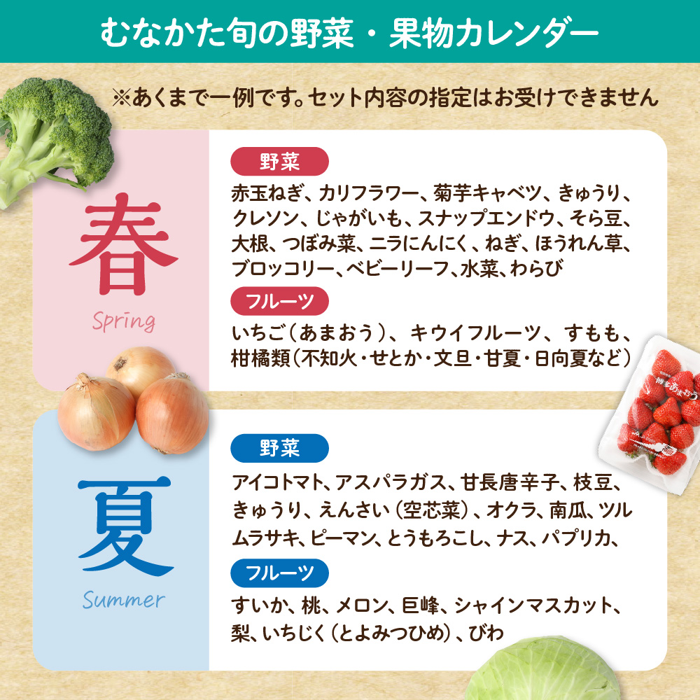 HB0029_【定期便/年12回/毎月お届け】むなかた旬のお任せセット(野菜・フルーツ・お米/9~11品)【ほたるの里】