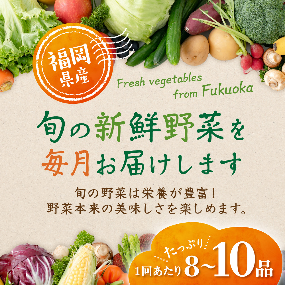 HB0124_【定期便／年12回／毎月お届け】【道の駅むなかた】 旬のお野菜詰合せセット