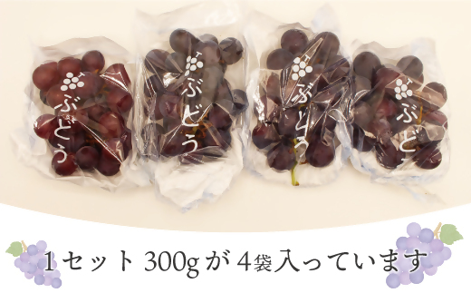 HA1476_【JAむなかたより】巨峰1.2kg【JAほたるの里】