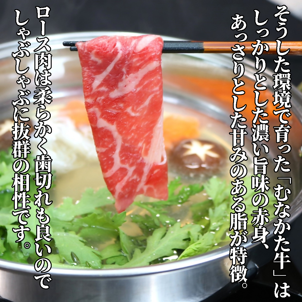 HA1501_牧場直送! お米で育てた むなかた牛 ロース 800g すき焼き しゃぶしゃぶ【すすき牧場】