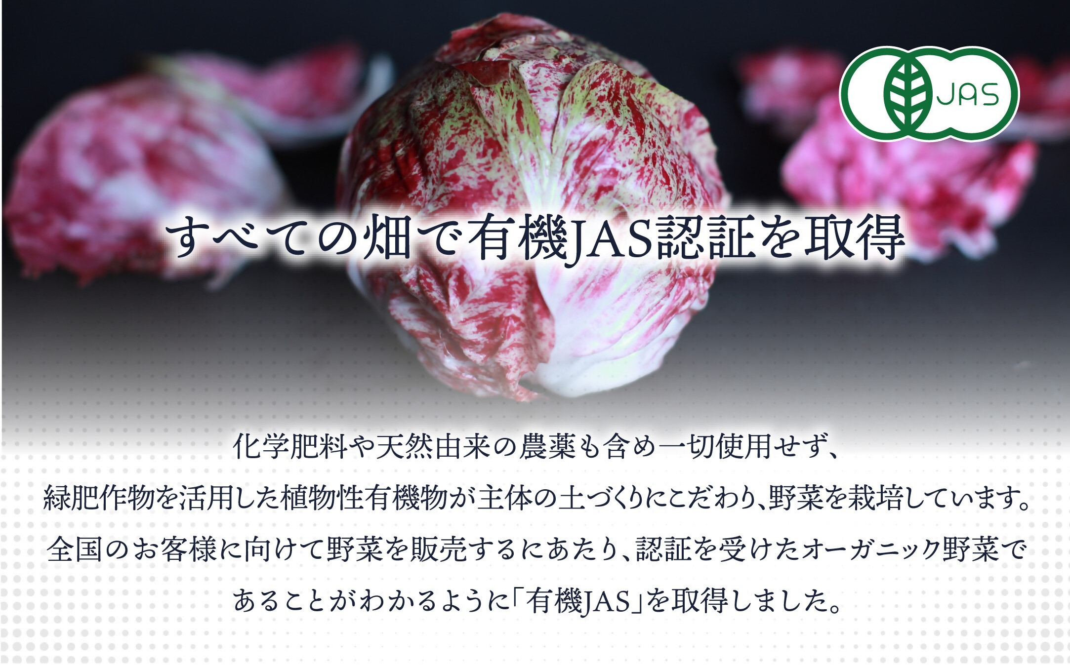 HB0162_【定期便/年12回/毎月お届け】有機JAS認証 旬の野菜セット 8品【ぶたちゃんの畑】