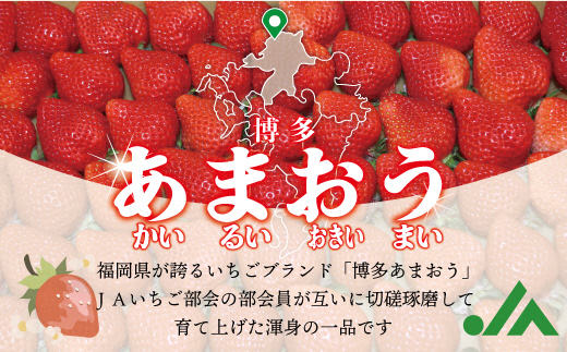HA1513_急速冷凍!人気のあまおう 冷凍いちご 福岡県特産品 大容量 1.6kg【JAほたるの里】