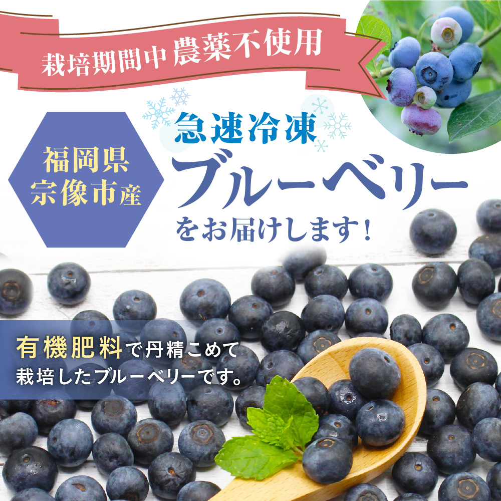 HA1517_有機栽培・栽培期間中農薬不使用!急速冷凍ブルーベリー 1.2kg 【JAほたるの里】