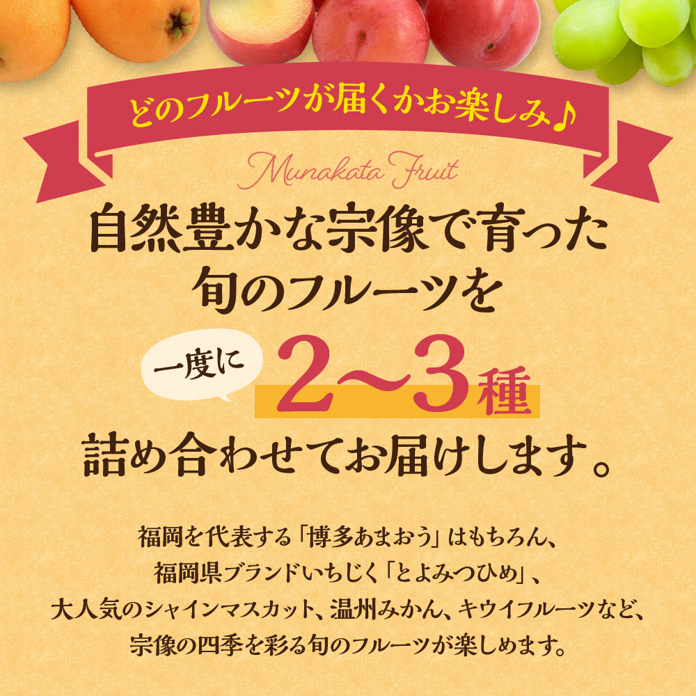 HB0165_何が届くかお楽しみ!むなかた旬のフルーツ福袋定期便【年4回】【JAほたるの里】