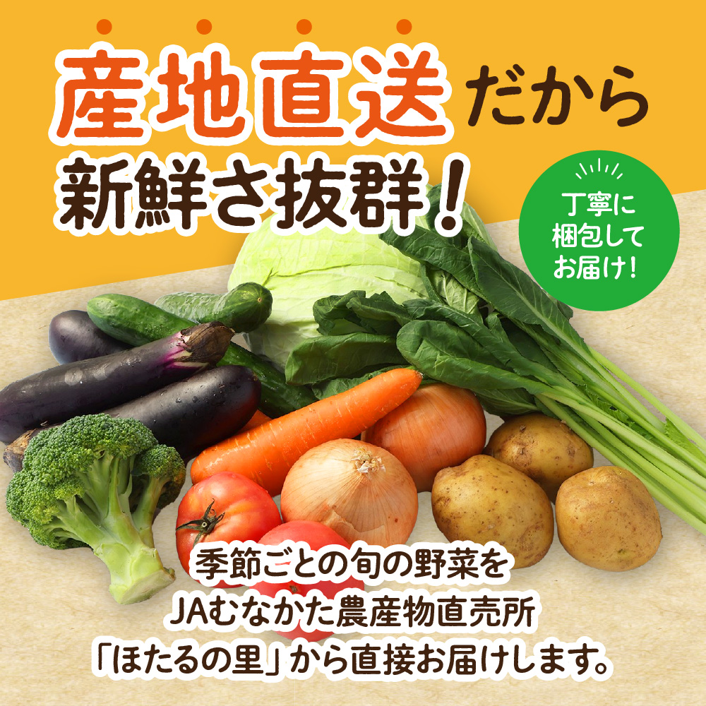 HB0173_【毎月お届け】むなかた旬のお任せセット(野菜)7~9品【JAほたるの里】
