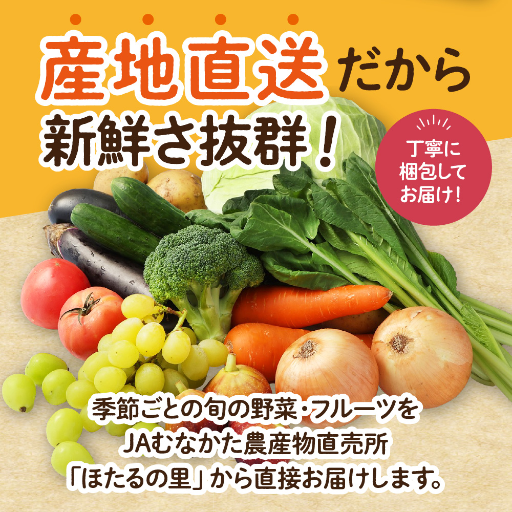 【偶数月お届け】むなかた旬のお任せセット(野菜・フルーツ) 9~11品 【JAほたるの里】_HB0174