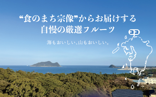 HA1658_訳あり冷凍いちじく(とよみつひめ」)1kg【JAほたるの里】